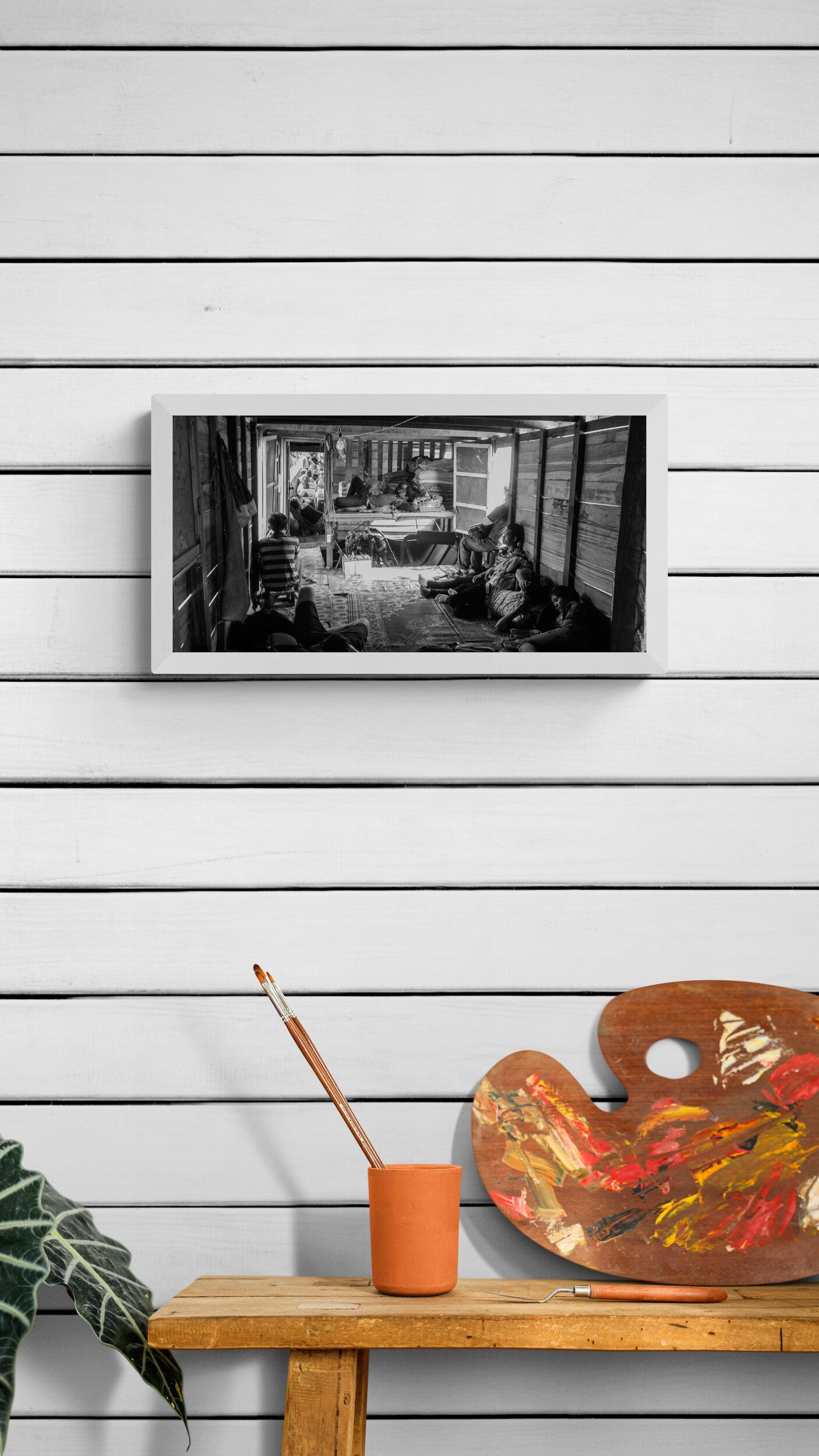 Steerage - Limited Edition